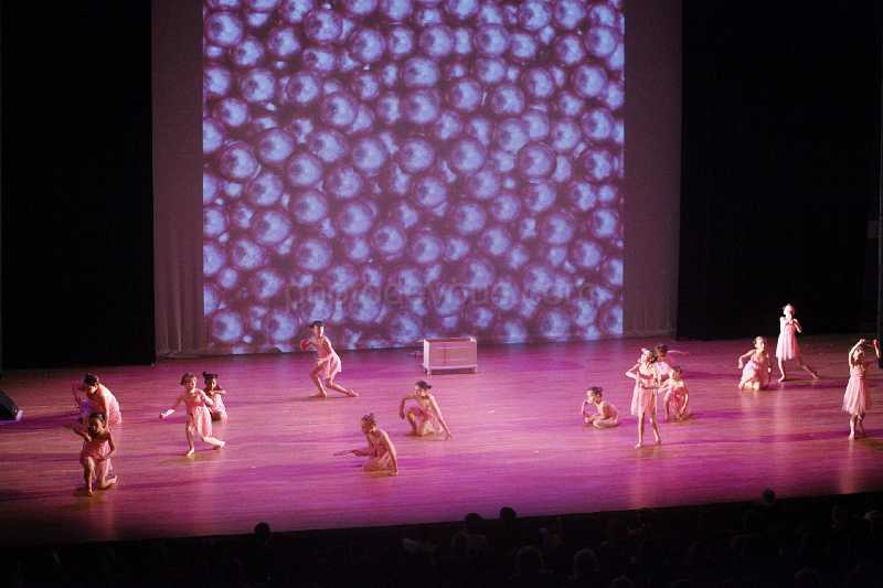 _MG_3141.JPG