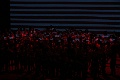_U8V5496